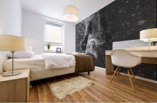 Cat Mural print