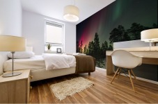 Boreal Mural print