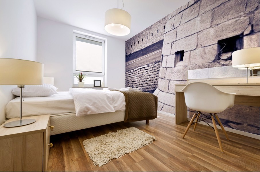 Fort Frederick At Rmc Mural print