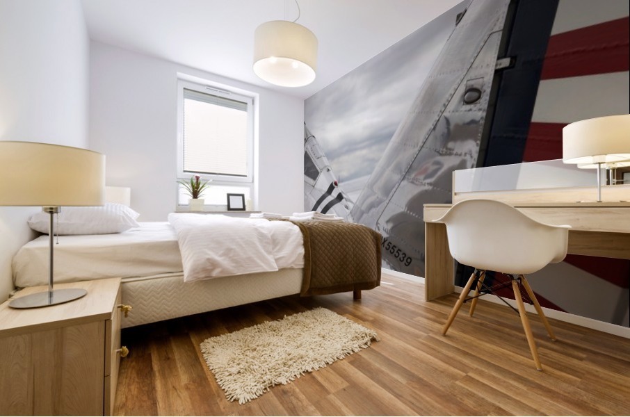 P-35 Back & Tail Mural print