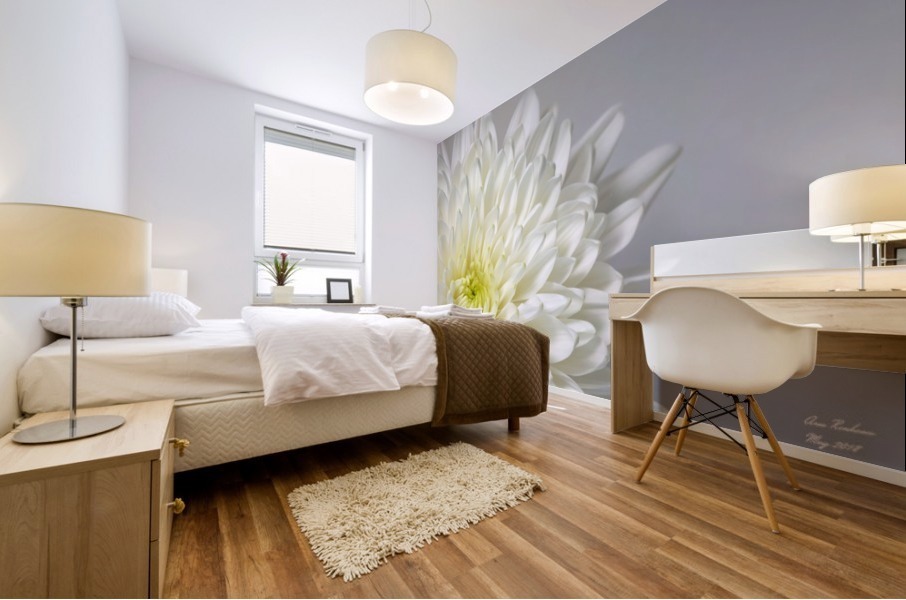 White Mum Flower Mural print