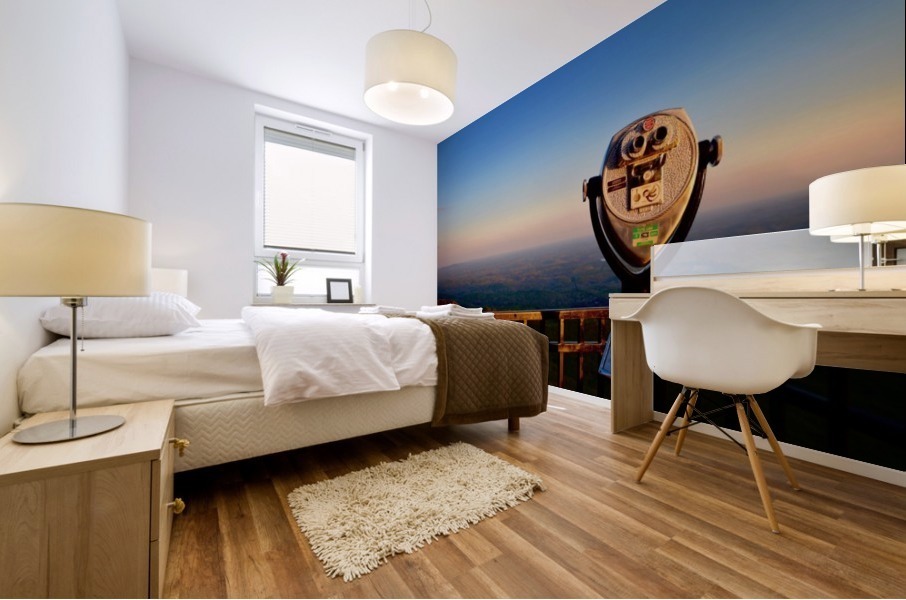 Sunset Overview Mural print