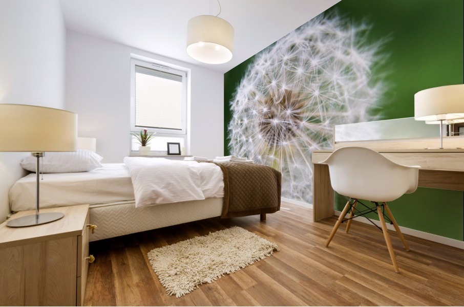 Dandylion Mural print