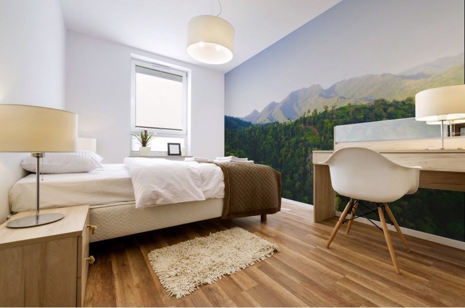 Follow Me Away Mural print