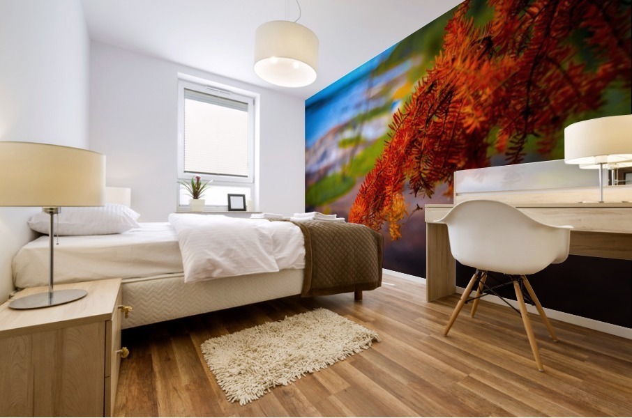 FALL RED MAPLE Mural print