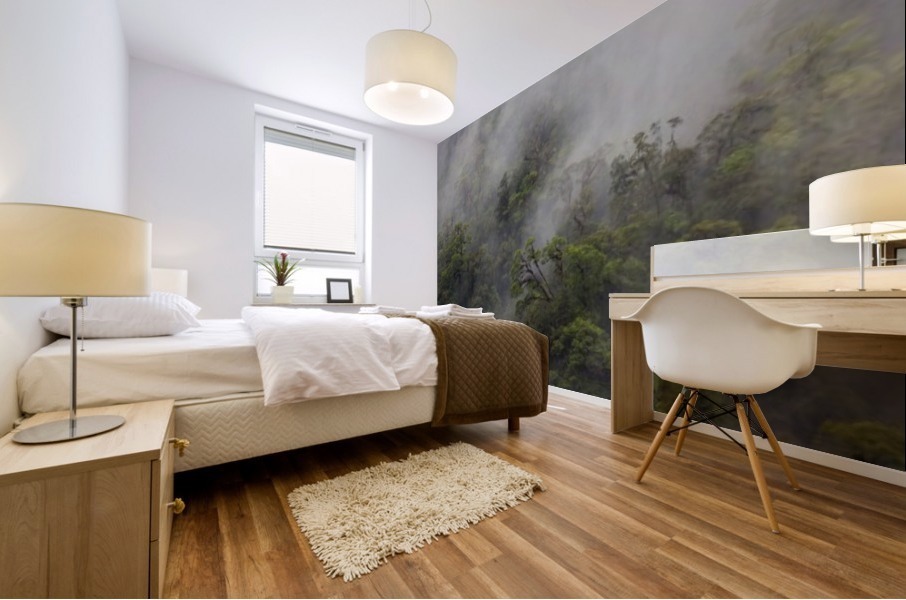 Doubtful Sound South Island New Zealand Mural print