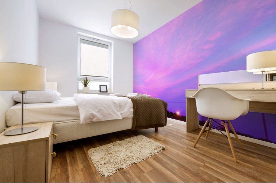 Sky Mural print