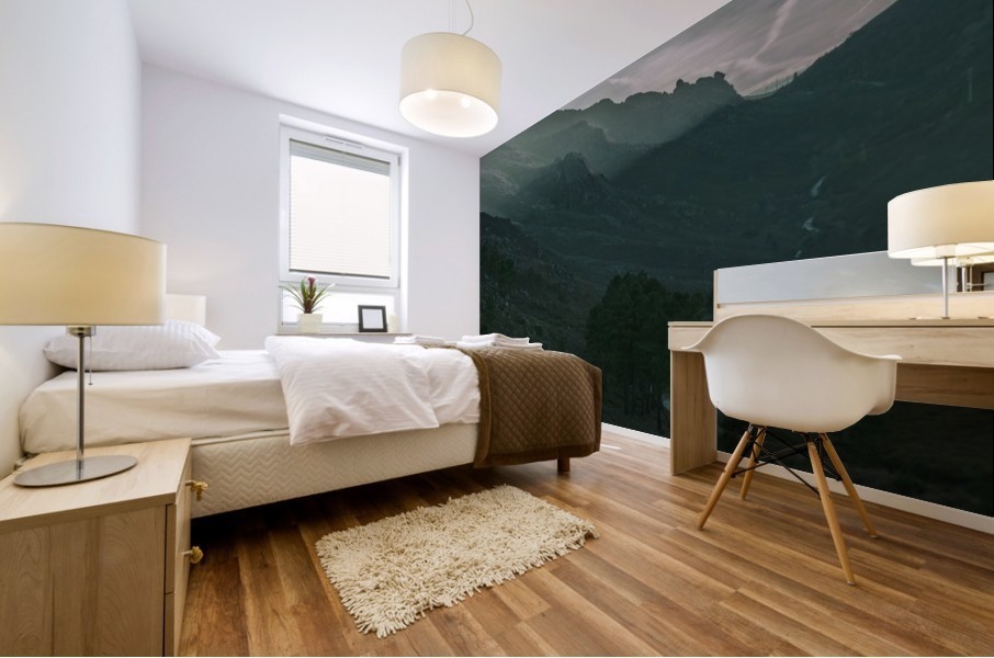 Backyard Mural print