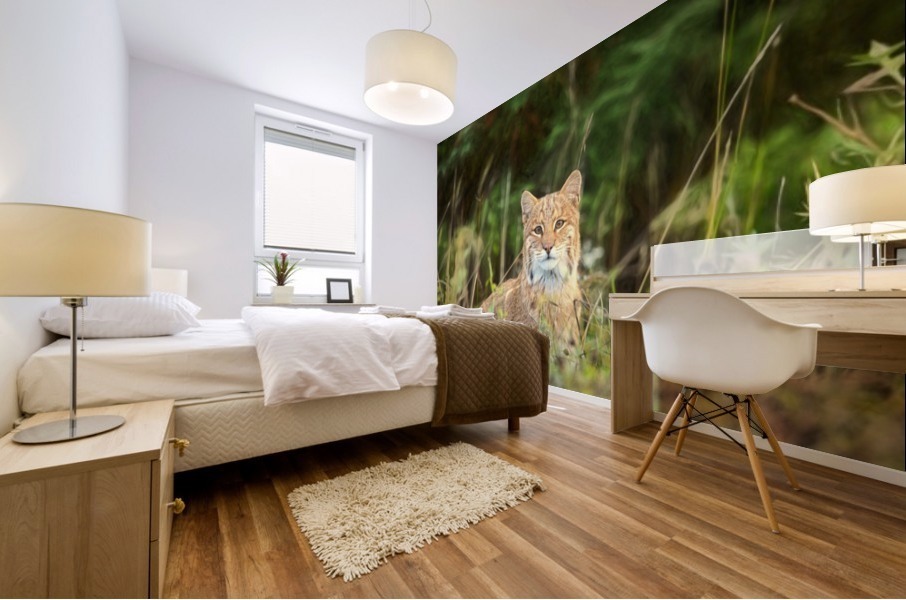 Bobcat Mural print