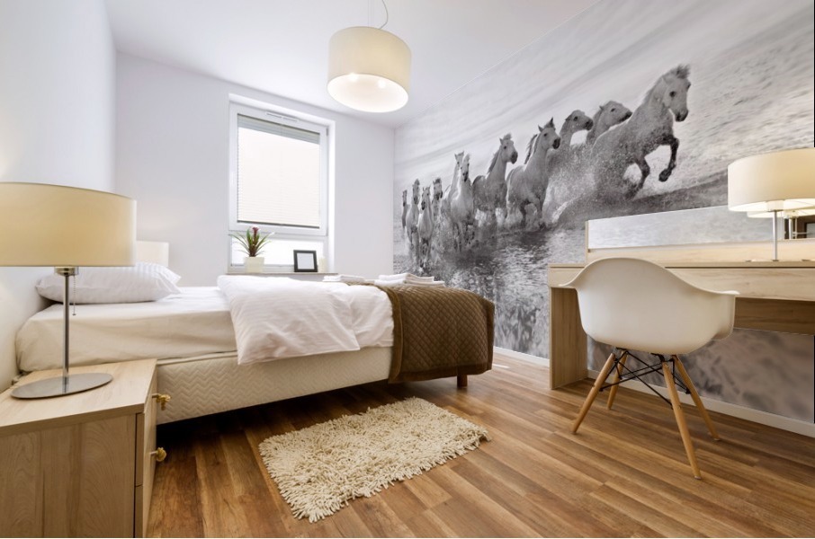 Illusion of power (13 horse power though) Mural print