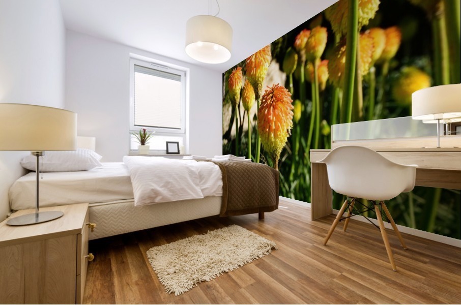 Montjuïc Flowers Mural print