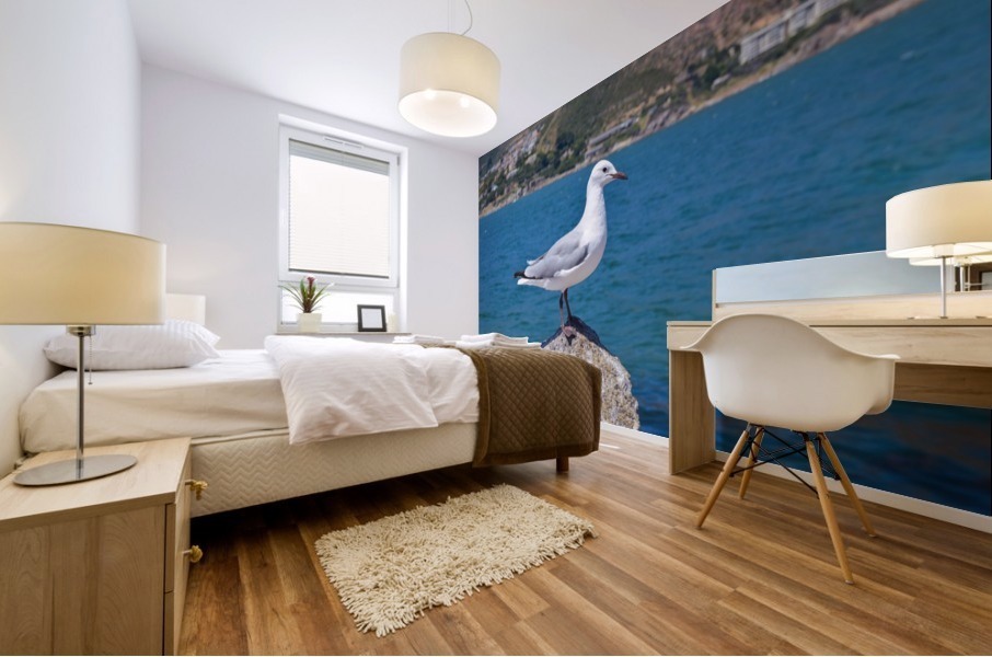 Hout Bay Cape Town Mural print