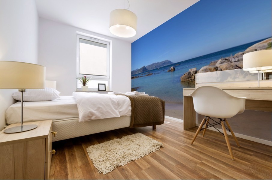 Boulders Beach Mural print