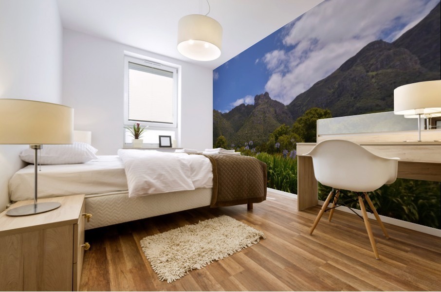 Kirstenbosch National Botanical Garden Mural print