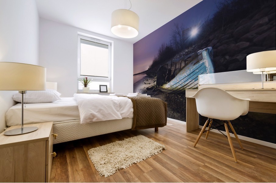 Old boat on Copenhagen shore at night  Mural print