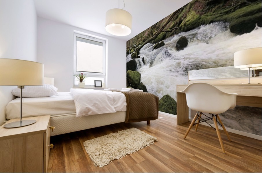 JPT 887F 2 Mural print