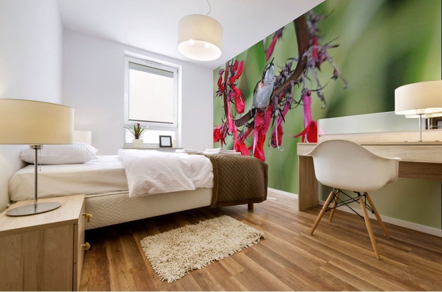 Hummingbird With Attitude Mural print