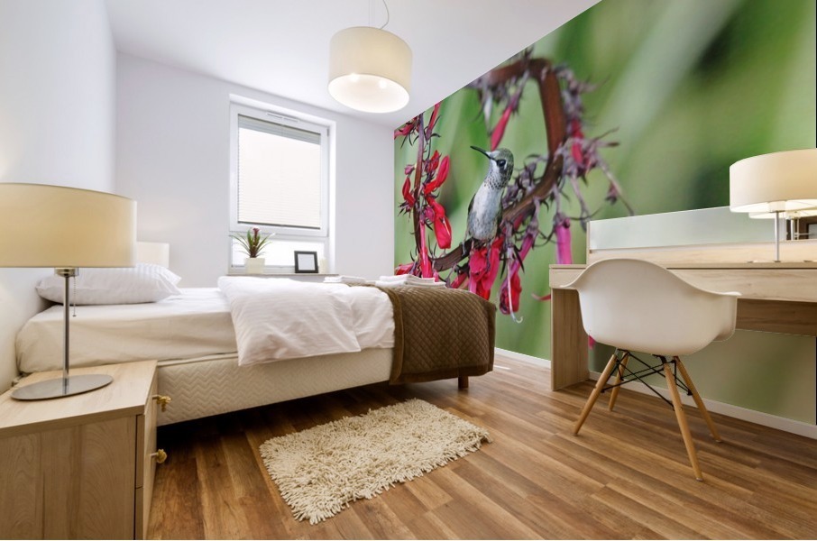 Lobelia Perch Mural print