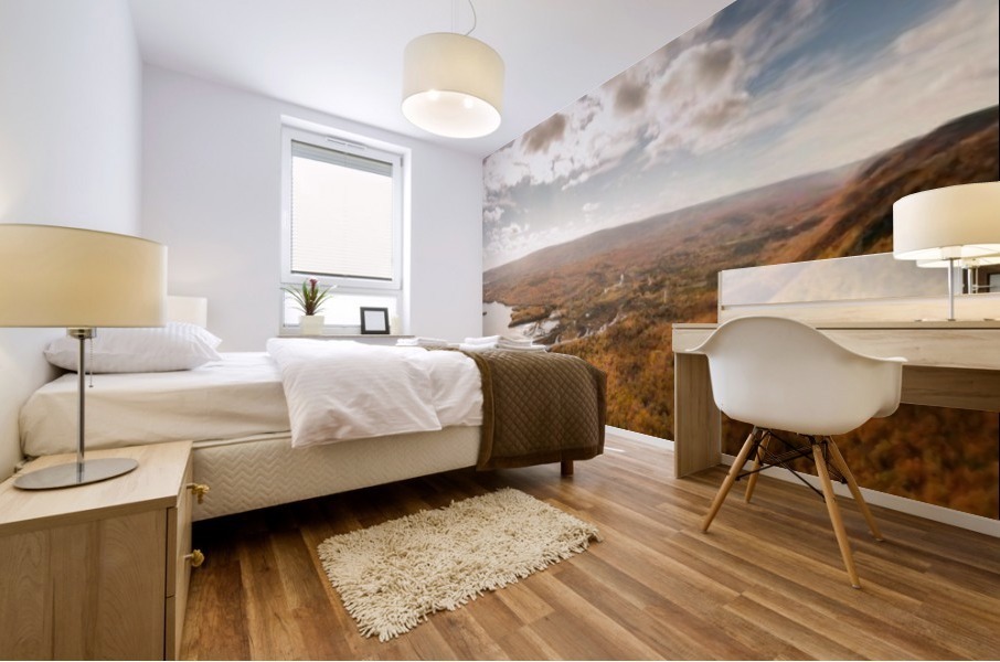 Sugar Loaf Mural print
