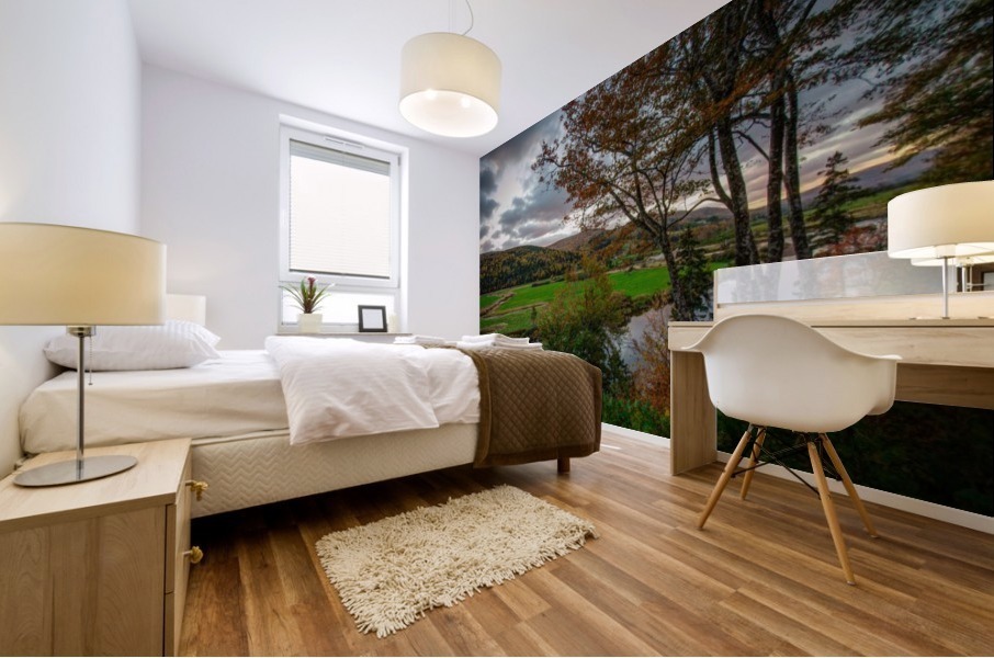 Serene Valley Mural print
