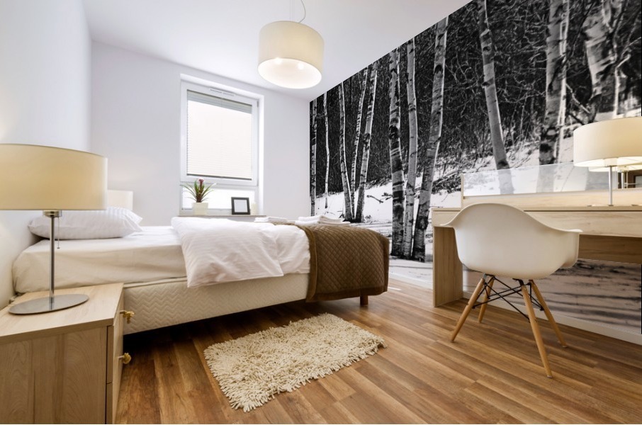 Birches And Dogwood Black And White Mural print