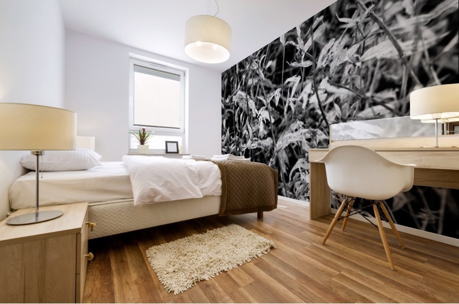 Dry leaves Mural print
