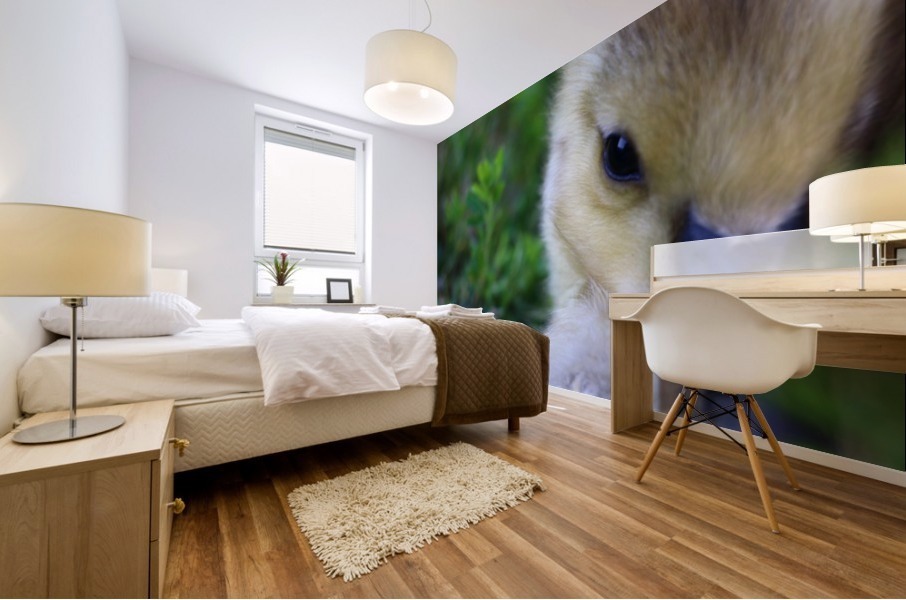Baby Geese Mural print