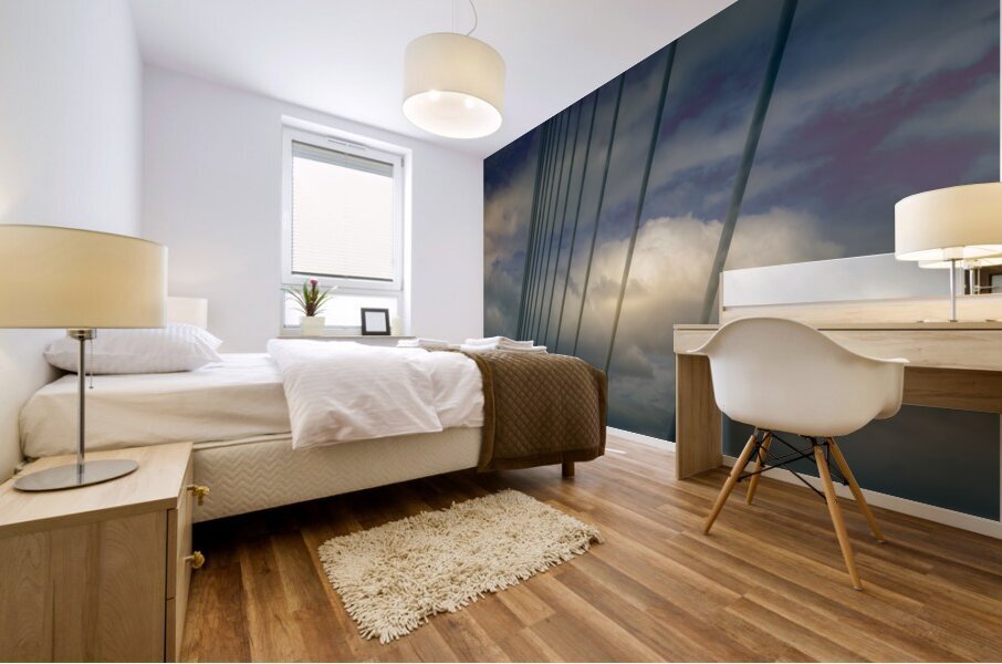 Savannah Bridge Support Wires Mural print