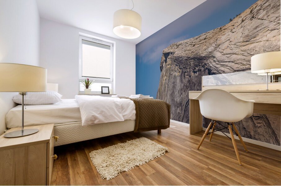 Half Dome Crown Mural print