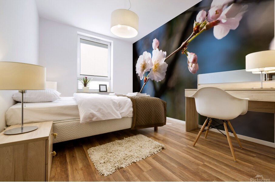 Spring Shogetsu 4 Mural print