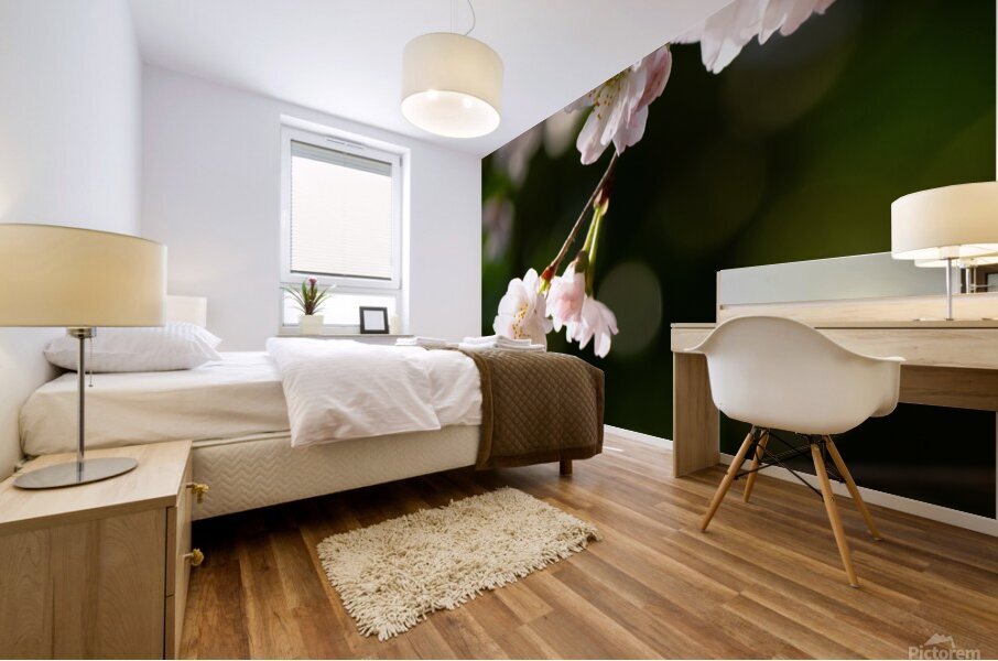 Spring - Shogetsu 2 Mural print