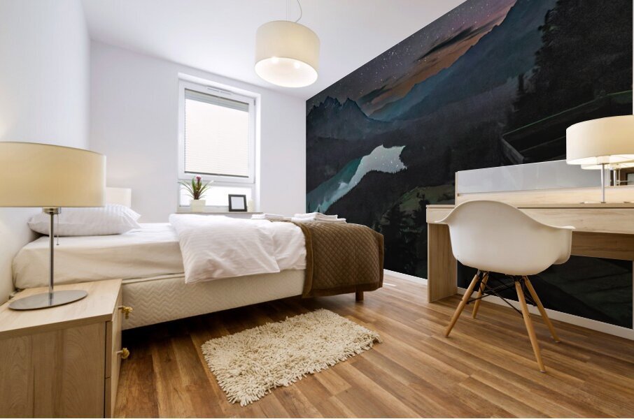 Peyto Lake Under the Stars Mural print