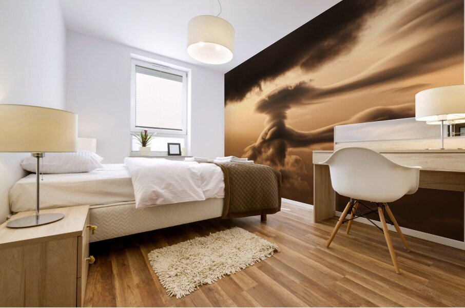 The Guide - Original Mural print