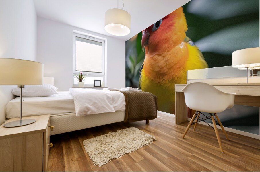 Yellow Lovebird Mural print