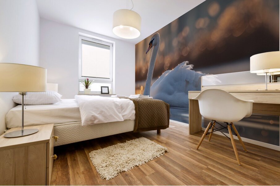 Reflective Swan Mural print