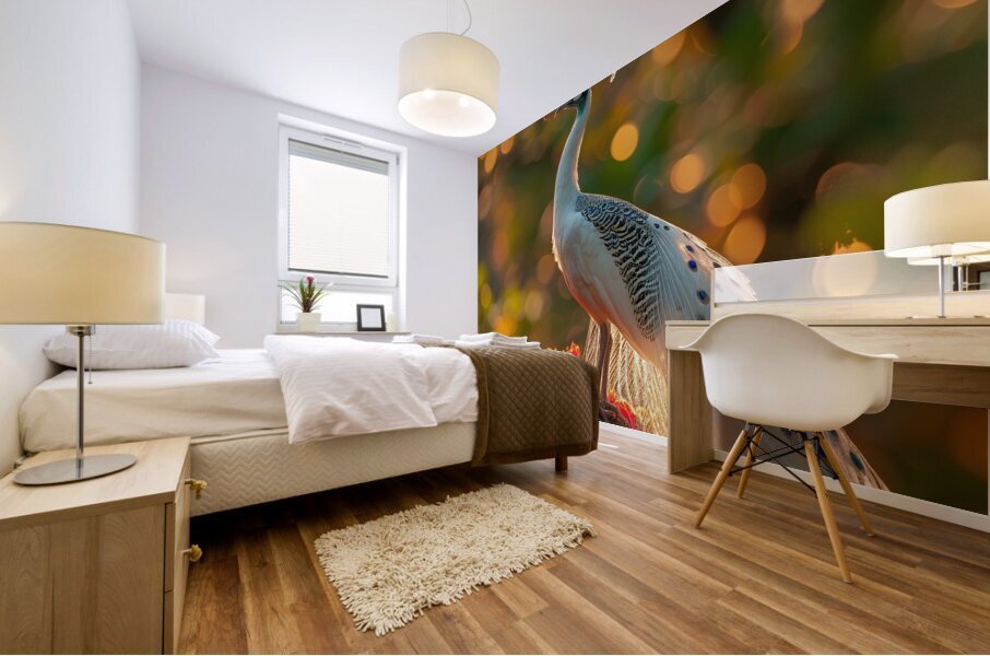 White Beauty Peacock Mural print