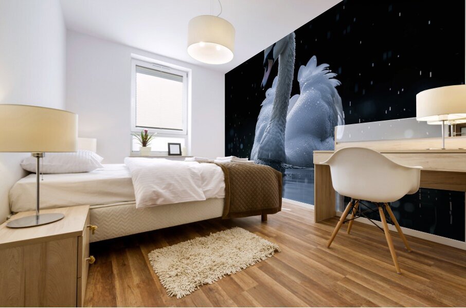 Swan Grace Mural print