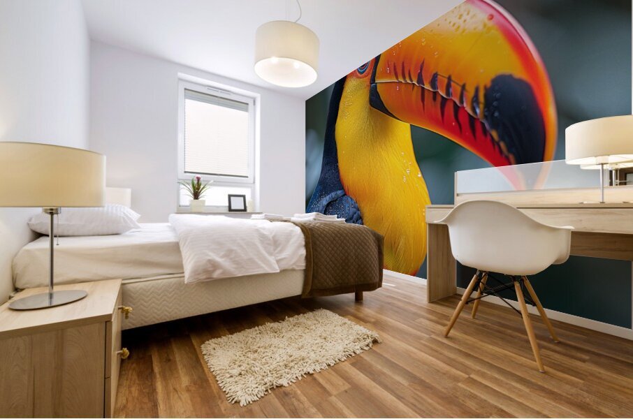 Beautiful Toucan Bird Mural print