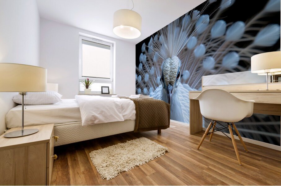 Gorgeous Peacock Mural print