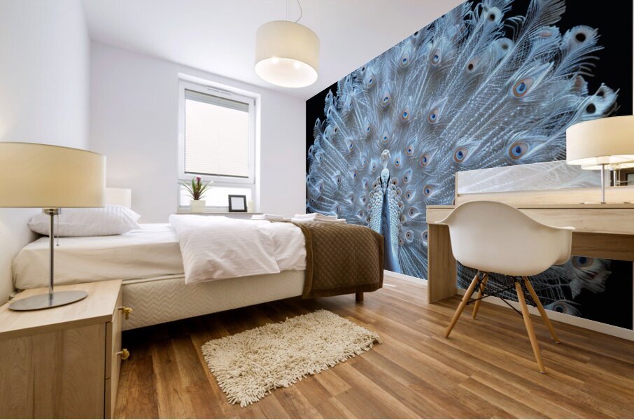 Elegant Peacock Feathers Mural print