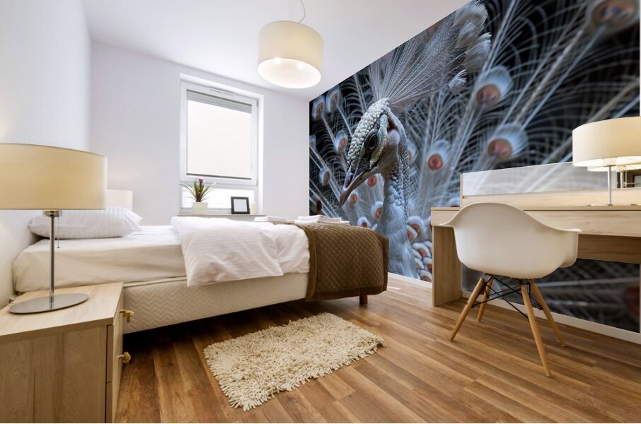 Elegant White Peacock Mural print