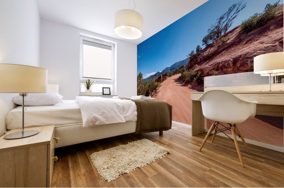 Colorado Rampart Dirt Road Mountain View Mural print