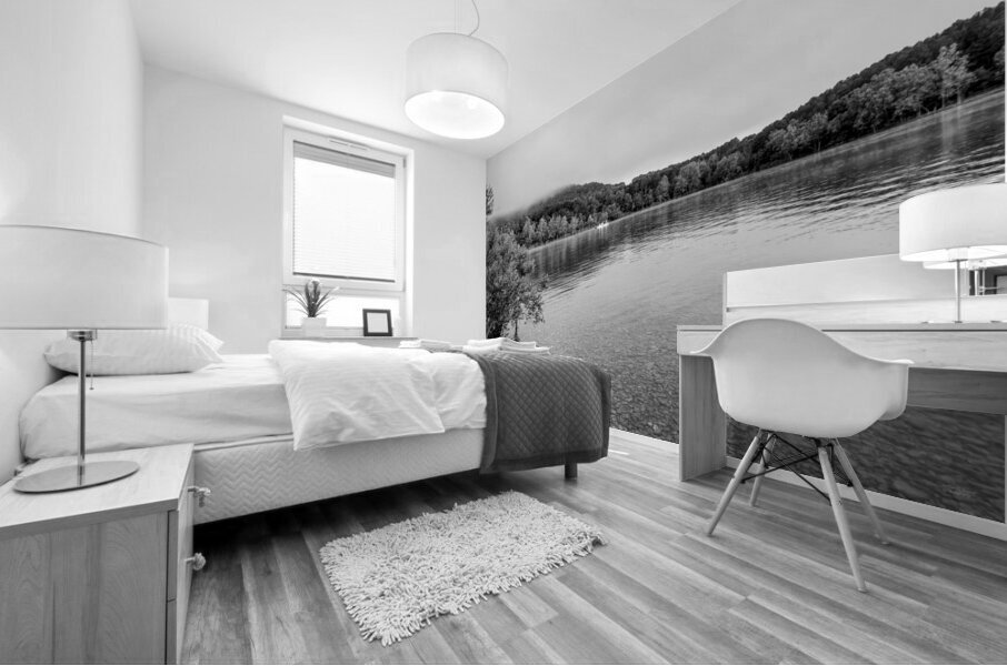 Early Morning Fishing Table Rock Lake Grayscale Mural print