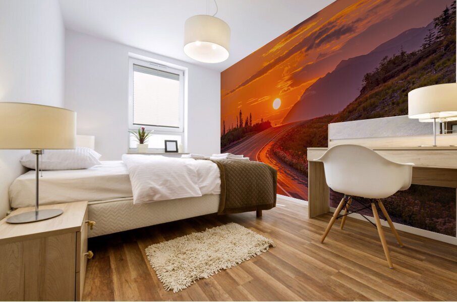 Denali State Park Fireball Mural print