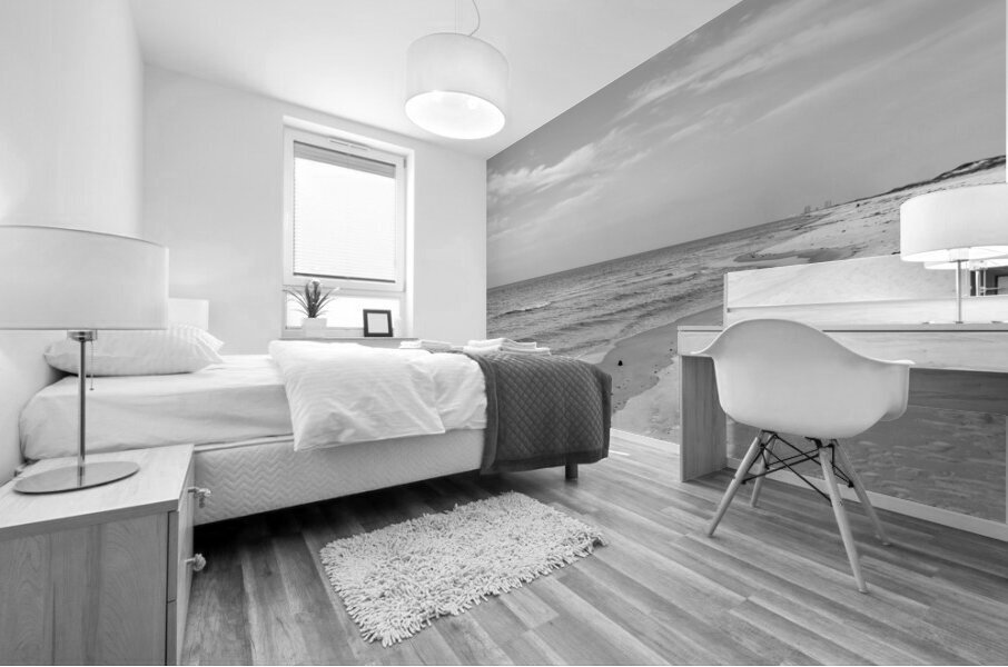 Florida Gulf Coast Peacefulness Grayscale Mural print
