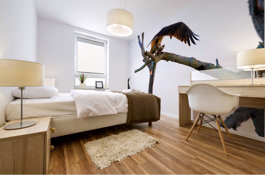 BZ9 4520 Enhanced NR Mural print
