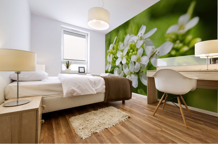 A white garlic mustard flower Mural print