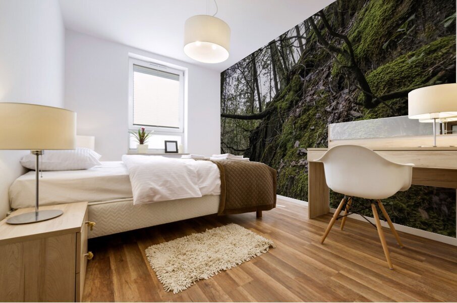 climb Mural print