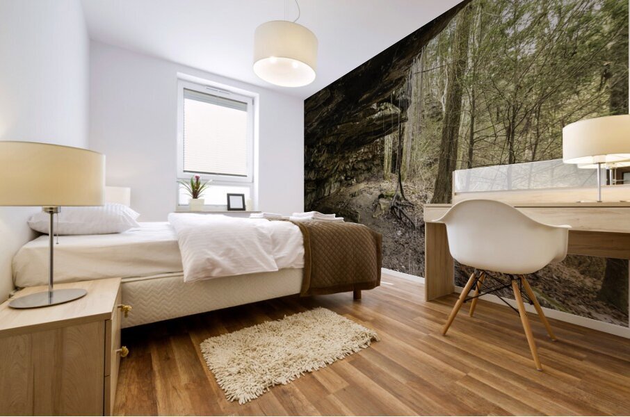 Under the cliff Mural print