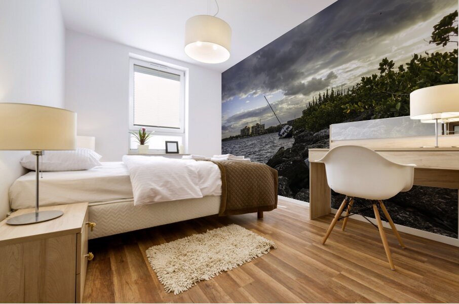 Cold waters Mural print